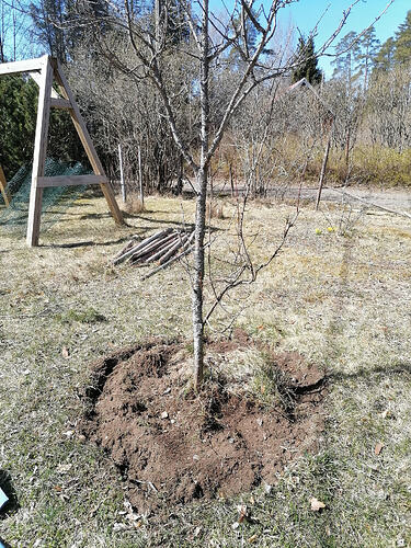 AnnaMaija pihalla hommat 1.5.2026 2