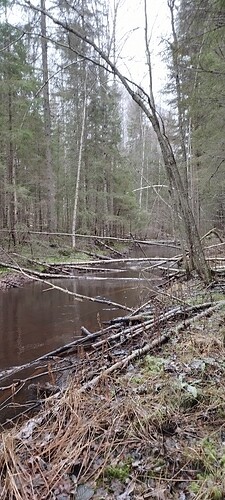 IMG_20241119_115736