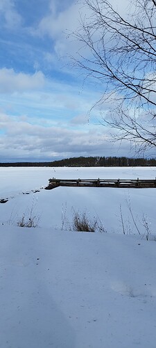 IMG_20250325_140424