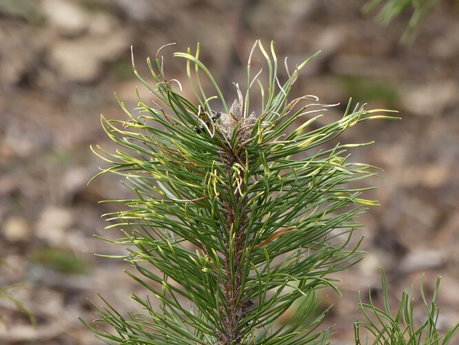 P1120872