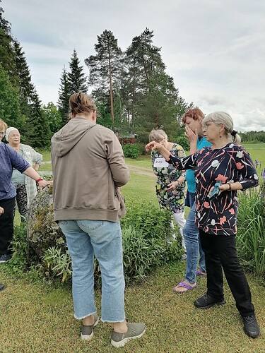 Taimivaihto 18.6.2025 Hennin luona 8