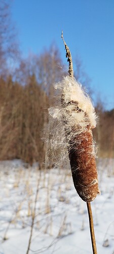 IMG_20250226_140435