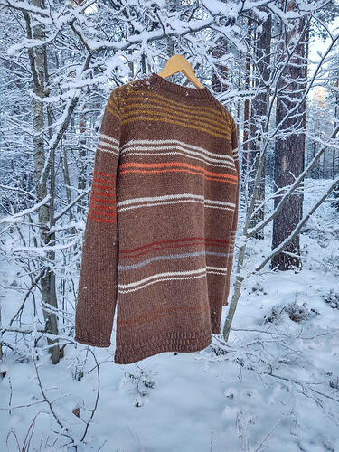 IMG_20260106_110943064_HDR