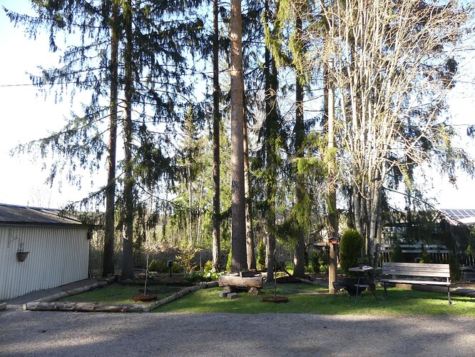 P1130193