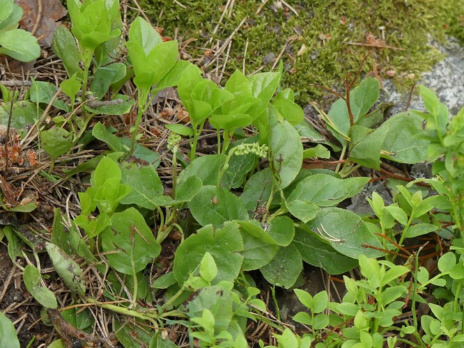 P1140031