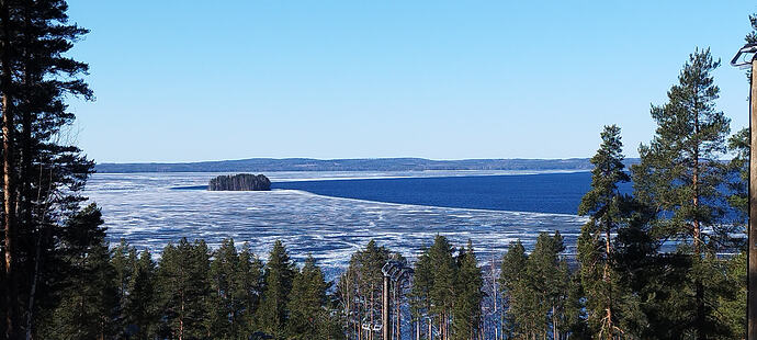 IMG_20260408_114821