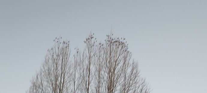 IMG_20260101_142912