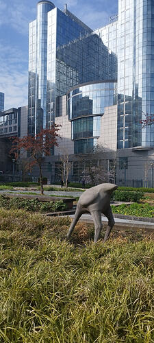 IMG_20260320_110542
