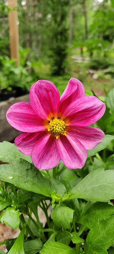 IMG_20250630_164816