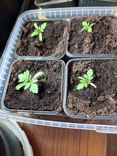 61473ca0-9ee3-440f-8600-61f1685bd9b5-1_all_7806