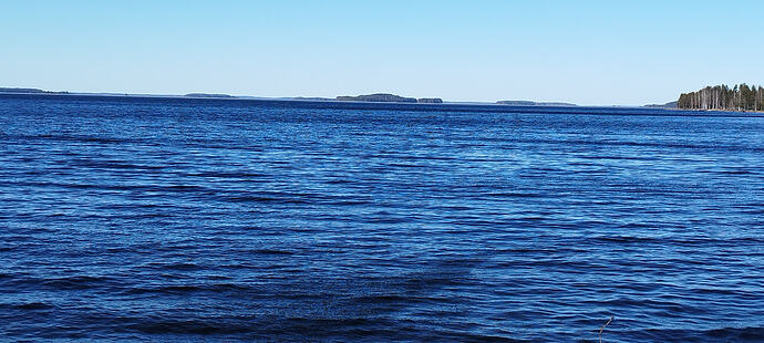 IMG_20260408_123846