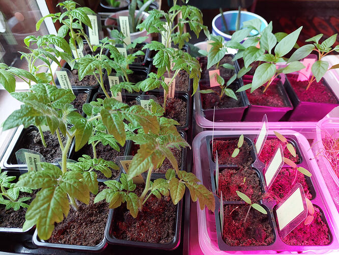 20260317_162932
