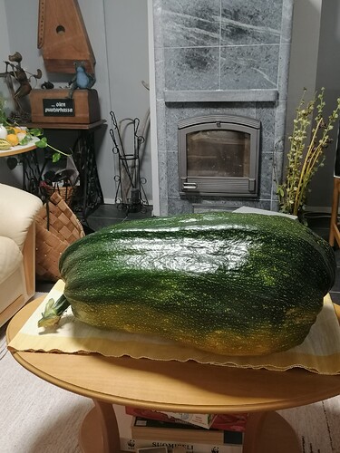 marrow 39.9 kg 24.9.2025 1