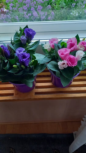 37b22e81-b20f-4988-b762-f8bff3bf0275-1_all_229