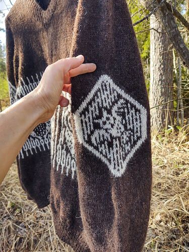 IMG_20260328_144905190_HDR