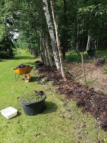 marjatarhapuolen perennapenkin valmistelua 8.7.2023 1