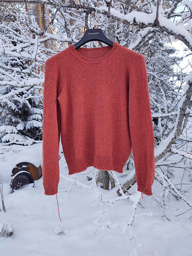 IMG_20260208_153351799