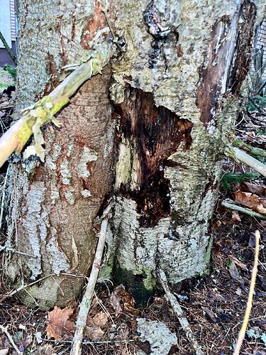 1b20fe95-2891-4672-8af8-ff8f6ce328fd