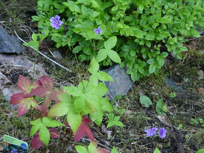 P1150735
