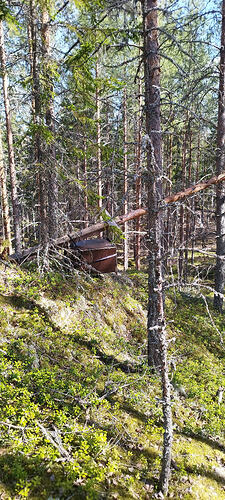 IMG_20260507_151942