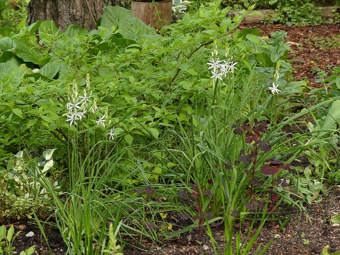P1150716