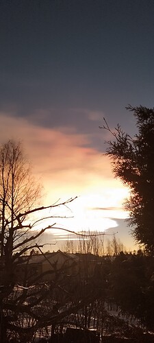 IMG_20250118_161137