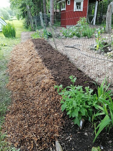 uusi reunapenkki 20.6.2025 7