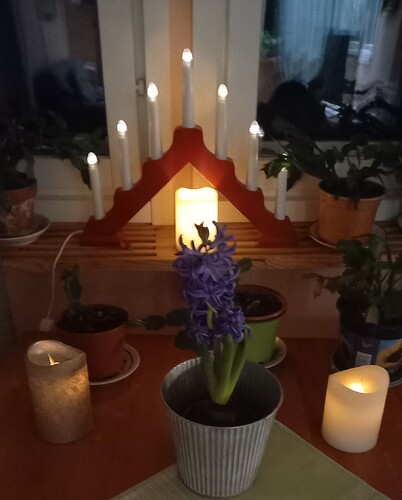 37b22e81-b20f-4988-b762-f8bff3bf0275-1_all_1364