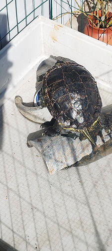 IMG_20260501_154604