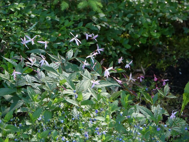 P1150730