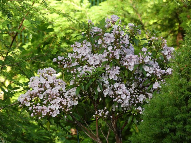 P1150991