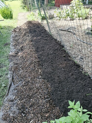 uusi reunapenkki 20.6.2025 6