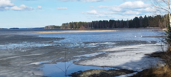 IMG_20260407_141247