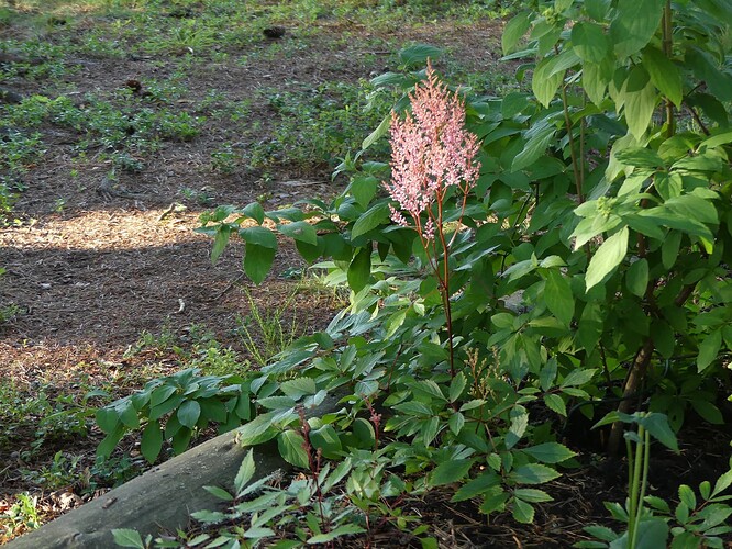 P1160584