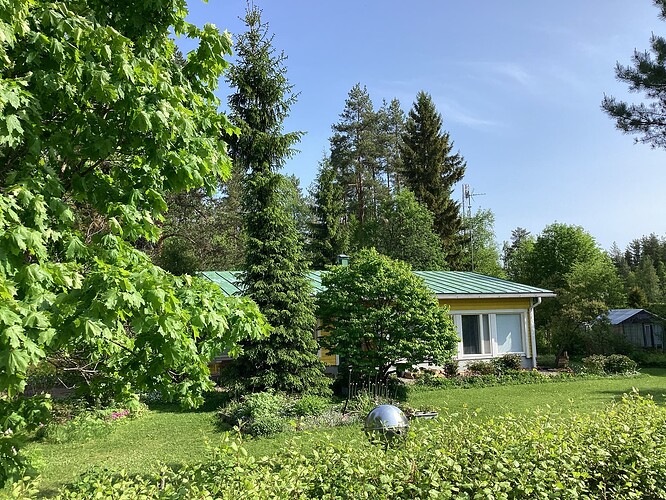 060625 (1)