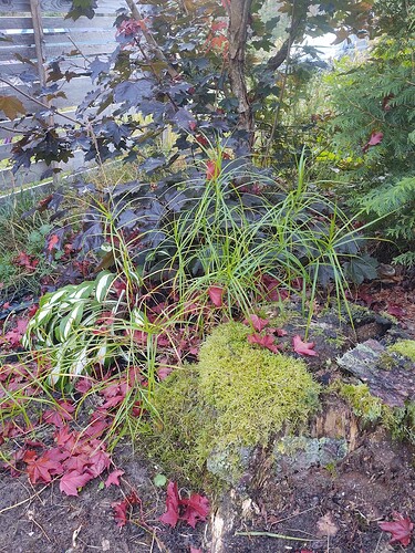 IMG_20250906_075619259