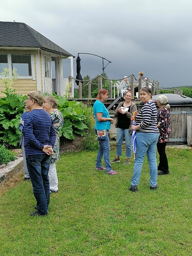 Taimivaihto 18.6.2025 Hennin luona 15