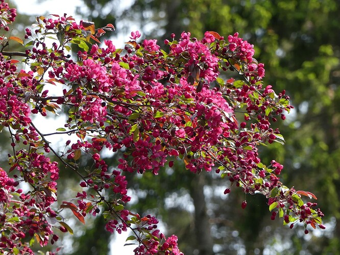 P1130805