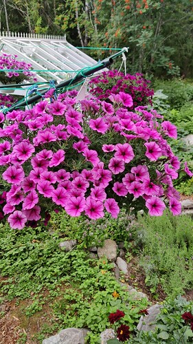 IMG-20240729-WA0047
