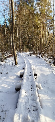 IMG_20241123_111957