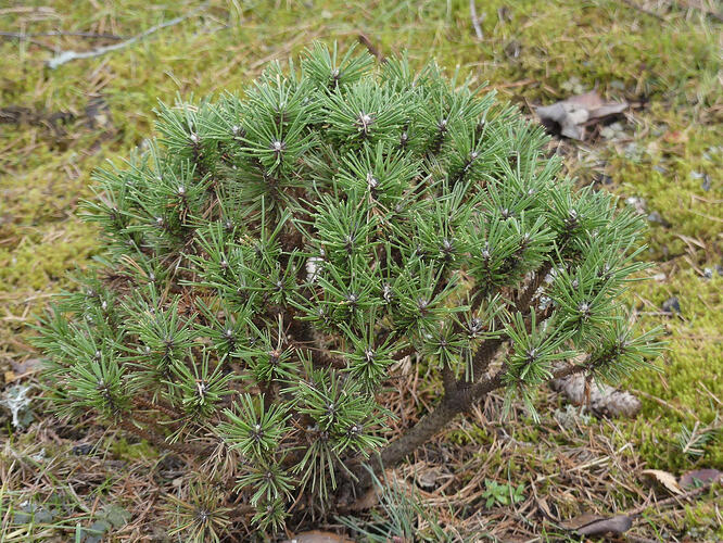 P1170935