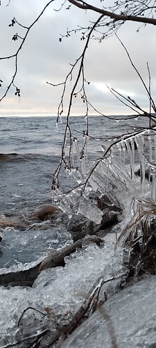 IMG_20241209_131255