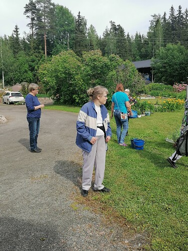 Taimivaihto 18.6.2025 Hennin luona 7