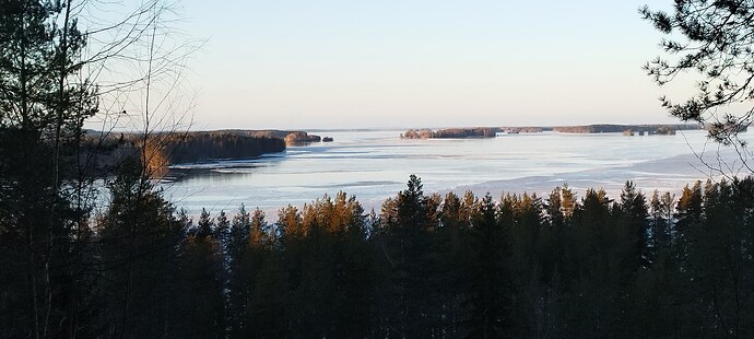 IMG_20241215_125550