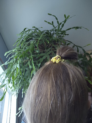 IMG_20251122_143440578