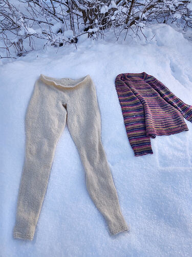 IMG_20260201_123720698_HDR