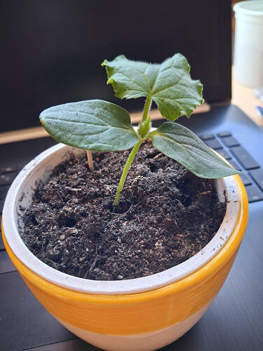 61473ca0-9ee3-440f-8600-61f1685bd9b5-1_all_7449