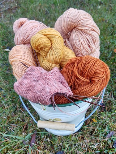 IMG_20250928_172545544_HDR