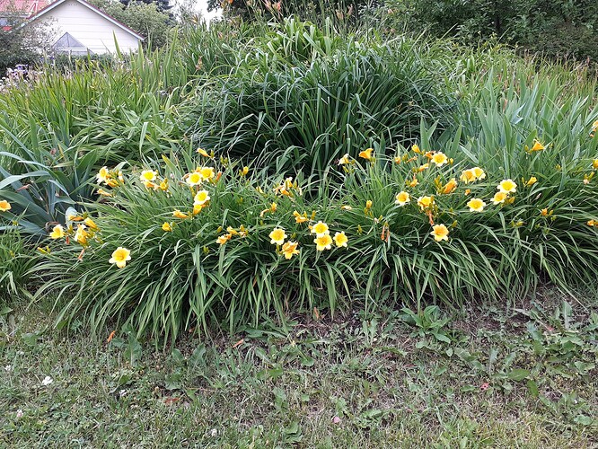 20190703_160131