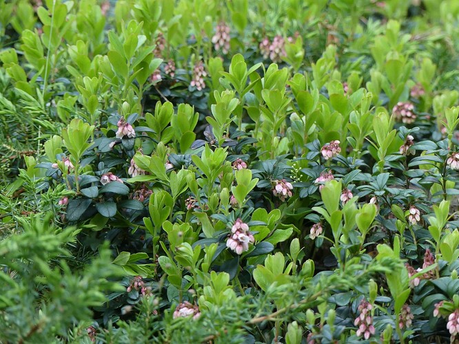 P1140689